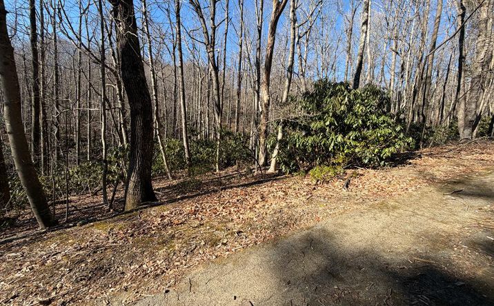 Pictures of Land, Multifamily property located at TBD Laurel Way, Fancy Gap, VA 24328 for sales - image #1