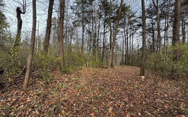 Pictures of Land, Multifamily property located at Pine Knoll Farms Loop, Stuart, VA 24171 for sales - image #1