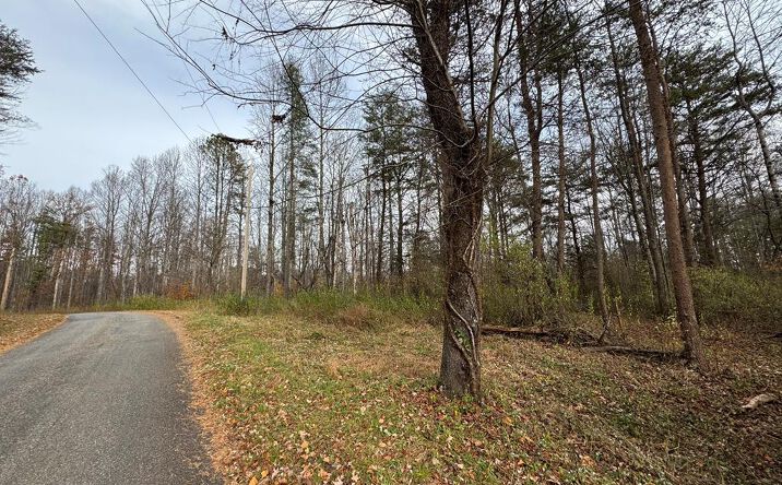 Pictures of Land, Multifamily property located at Pine Knoll Farms Loop, Stuart, VA 24171 for sales - image #1