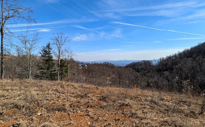 Pictures of Land, Multifamily property located at TBD Hunters Path, Fancy Gap, VA 24328 for sales - image #1