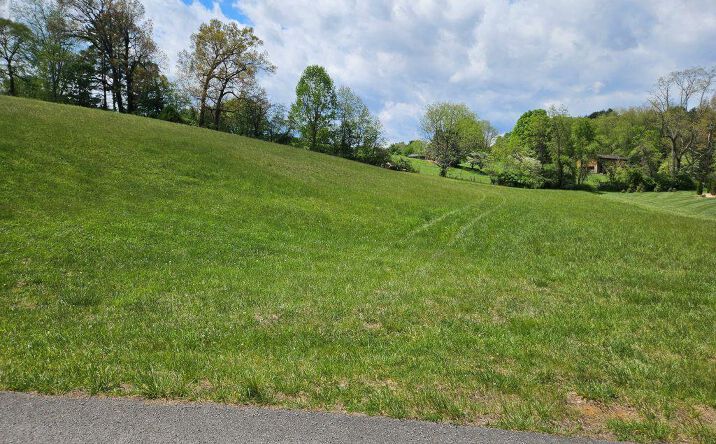 Pictures of Land, Multifamily property located at Lot 119 Yeary Trail, Abingdon, VA 24210 for sales - image #1