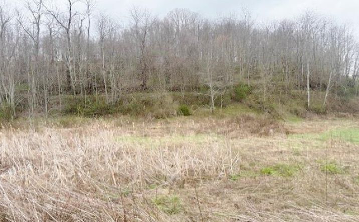 Pictures of Land, Multifamily property located at TBD Rural Retreat Lake Rd., Rural Retreat, VA 24368 for sales - image #1