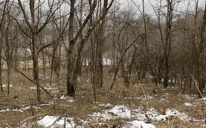 Pictures of Land, Multifamily property located at TBD Ridgecrest Drive, North Tazewell, VA 24630 for sales - image #1
