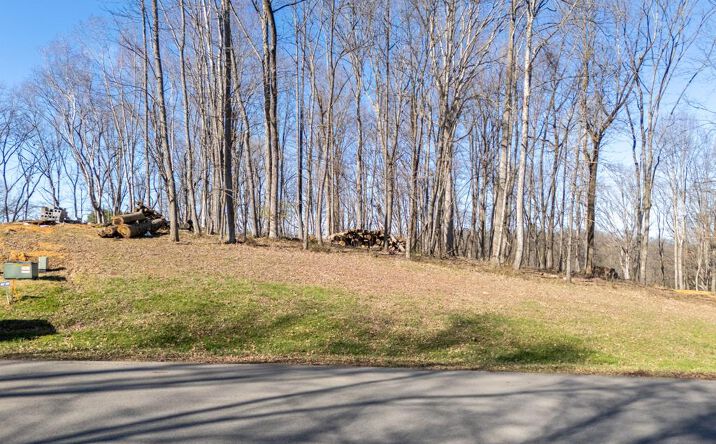 Pictures of Land, Multifamily property located at TBD Clifton Ridge Rd., Abingdon, VA 24210 for sales - image #1