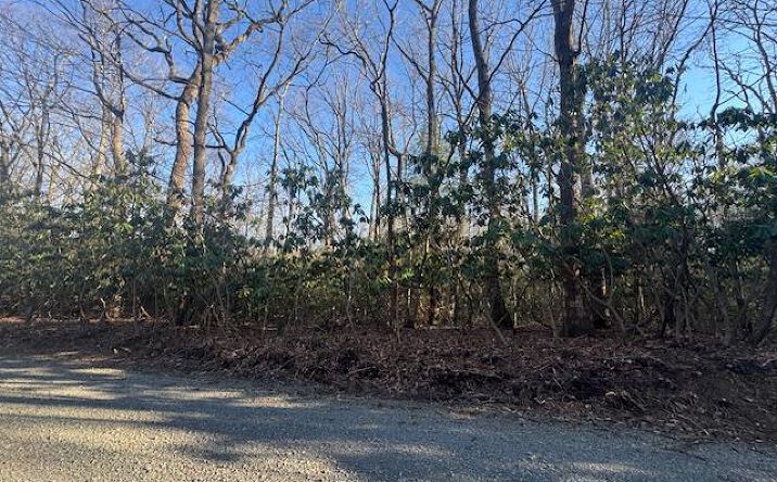 Pictures of Land, Multifamily property located at TBD Hickory Nut Hollar, Hillsville, VA 24343 for sales - image #1