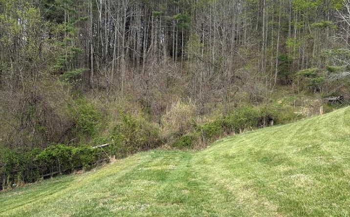 Pictures of Land, Multifamily property located at TBD Tower Rd, Galax, VA 24333 for sales - image #1