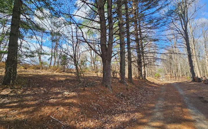 Pictures of Land, Multifamily property located at TBD Fries Rd, Galax, VA 24333 for sales - image #1