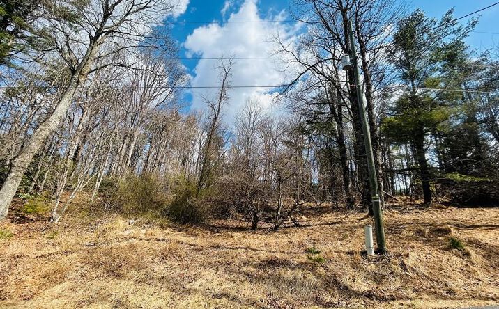 Pictures of Land, Multifamily property located at TBD Old Hollow Trail, Fancy Gap, VA 24328 for sales - image #1