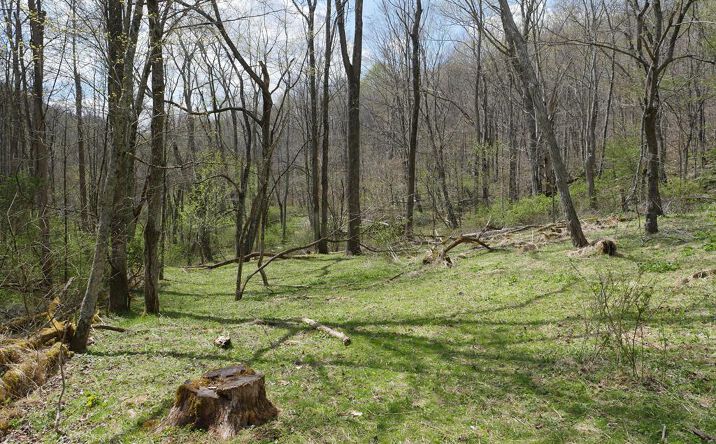 Pictures of Land, Multifamily property located at TBD Unity Road, Bluefield, VA 24605 for sales - image #1