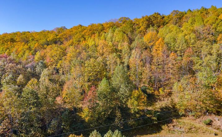 Pictures of Land, Multifamily property located at Lot 3 Starry Nights Dr, Fancy Gap, VA 24328 for sales - image #1