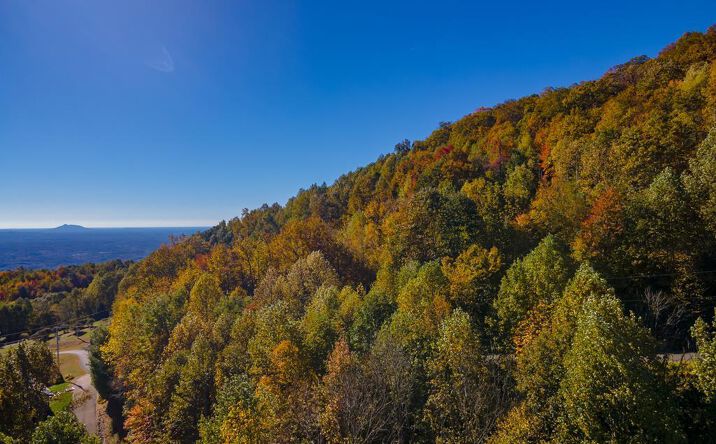 Pictures of Land, Multifamily property located at Lot 5 Starry Nights Dr, Fancy Gap, VA 24328 for sales - image #1