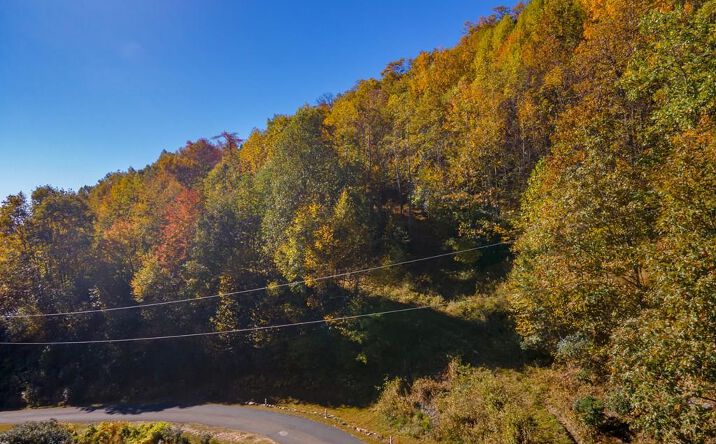 Pictures of Land, Multifamily property located at 3 Lots Starry Nights Dr, Fancy Gap, VA 24328 for sales - image #1