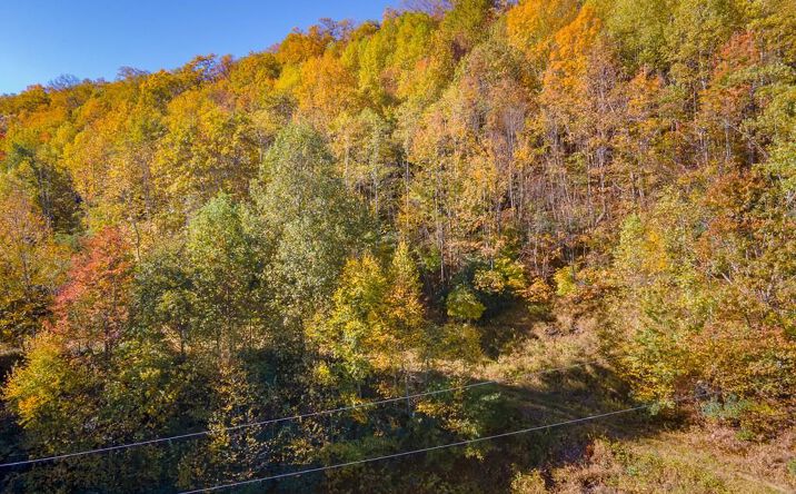 Pictures of Land, Multifamily property located at Lot 4 Starry Nights Dr, Fancy Gap, VA 24328 for sales - image #1