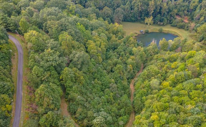 Pictures of Land, Multifamily property located at Lot 21 Starry Nights Dr, Fancy Gap, VA 24328 for sales - image #1