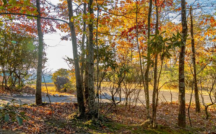 Pictures of Land, Multifamily property located at Lot 41 Moonlight Ln, Fancy Gap, VA 24328 for sales - image #1