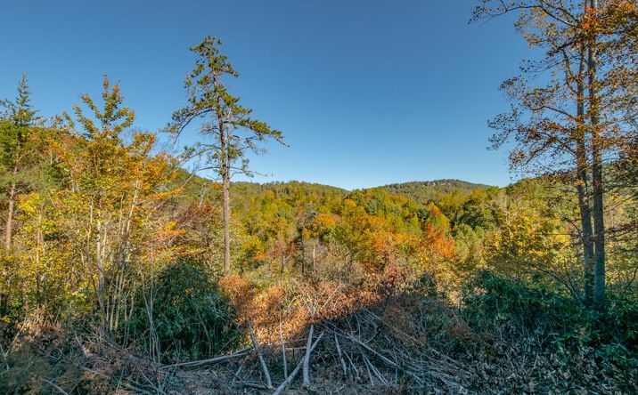Pictures of Land, Multifamily property located at Lot 22 Starry Nights Dr, Fancy Gap, VA 24328 for sales - image #1