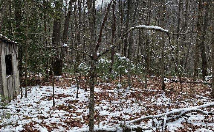 Pictures of Land, Multifamily property located at TBD Jim Brown Hollow Road-Gravel Lick Road, Castlewood, VA 24224 for sales - image #1