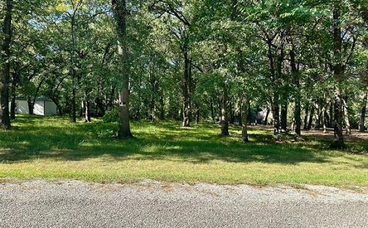 Treeline Trail, Kingston