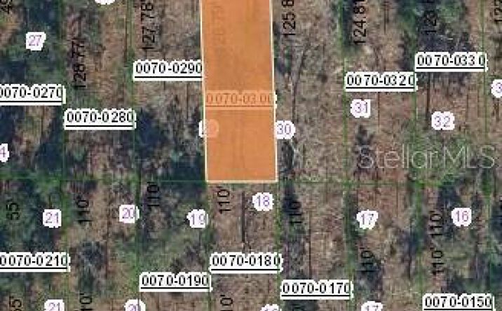 Pictures of Land, Multifamily property located at 129 W Virginia Street, Hawthorne, FL 32640 for sales - image #1
