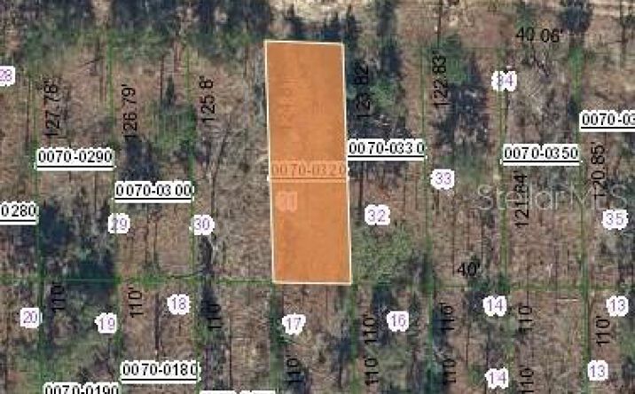 Pictures of Land, Multifamily property located at 125 W Virginia Street, Hawthorne, FL 32640 for sales - image #1