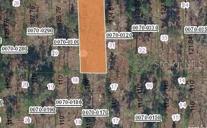 Pictures of Land, Multifamily property located at 127 W Virginia Street, Hawthorne, FL 32640 for sales - image #1
