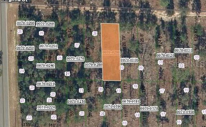 Pictures of Land, Multifamily property located at 131 W Virginia Street, Hawthorne, FL 32640 for sales - image #1