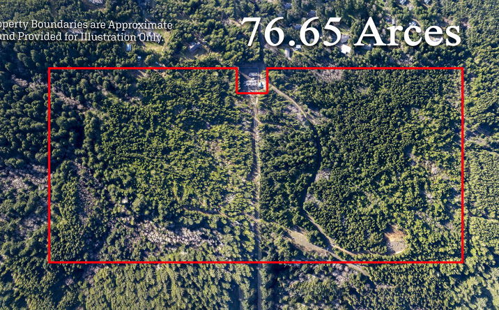 Pictures of Land, Multifamily property located at TL 900 NW Cross Street, Seal Rock, OR 97376 for sales - image #1
