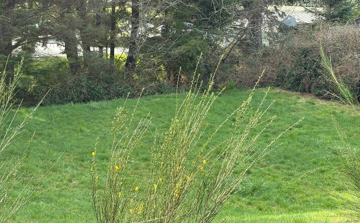 Pictures of Land, Multifamily property located at 320 Hill Court, Yachats, OR 97498 for sales - image #1