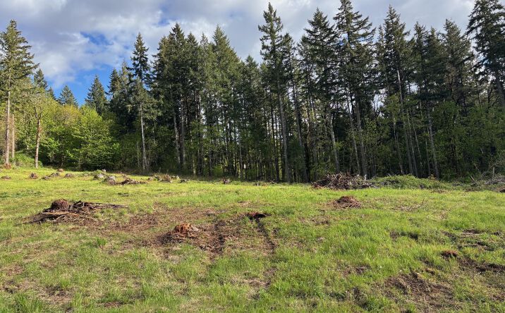 Pictures of Land, Multifamily property located at TL 1305 Kings Ridge Road, Dallas, OR 97338 for sales - image #1