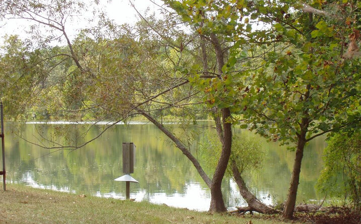 24 Poplar Creek Drive, Elloree