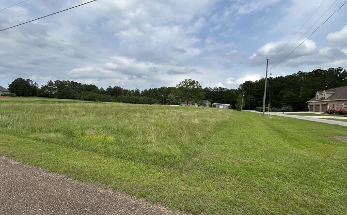 Pictures of Land property located at Dogwood Lane, Philadelphia, MS 39350 for sales - image #1