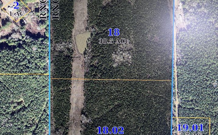 Pictures of Land property located at Rd 832, Philadelphia, MS 39350 for sales - image #1