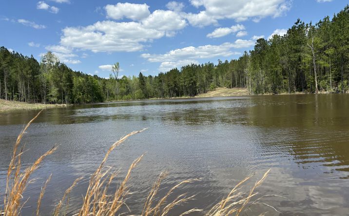 Pictures of Land property located at 0000 Meehan Savoy Road, Enterprise, MS 39330 for sales - image #1