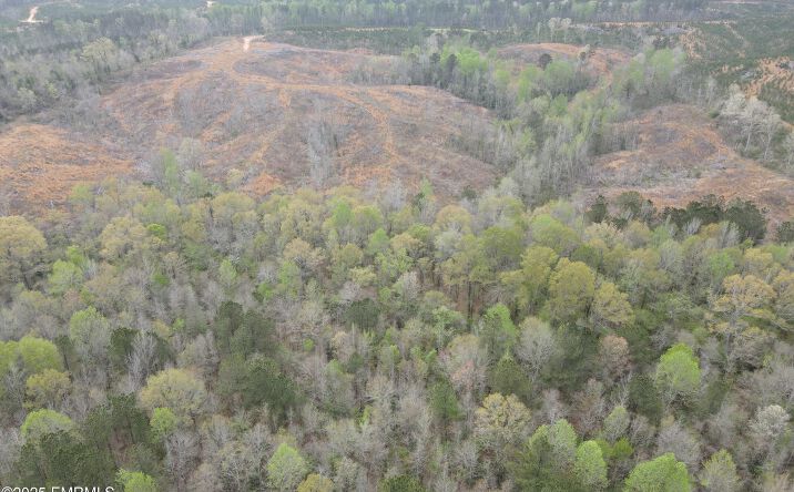 Pictures of Land property located at Road 814, Carthage, MS 39051 for sales - image #1