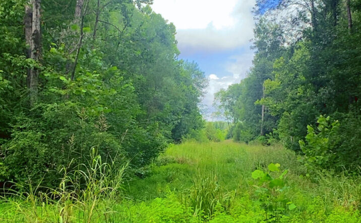 Pictures of Land property located at Rd 2434, Philadelphia, MS 39301 for sales - image #1