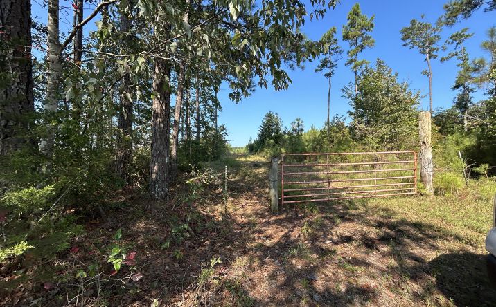Pictures of Land property located at Road 2808, Philadelphia, MS 39350 for sales - image #1