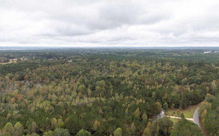 Pictures of Land property located at Gipson Road, Collinsville, MS 39325 for sales - image #1