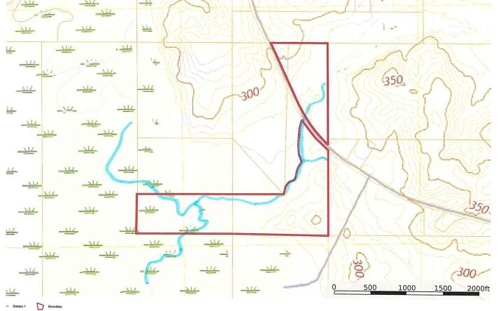 Pictures of Land property located at Co Rd 31, Heidelberg, MS 39439 for sales - image #1