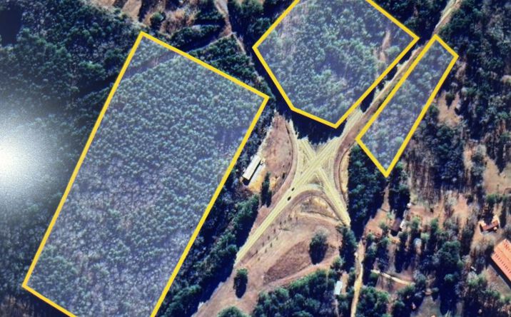 Pictures of Land property located at Hwy 15/wickware rd, Newton, MS 39301 for sales - image #1