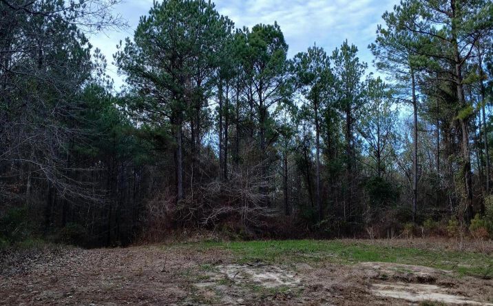 Pictures of Land property located at Dock Gator Rd, Meridian, MS 39326 for sales - image #1