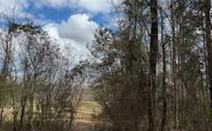 Pictures of Land property located at 000 Wildcat Road, Collinsville, MS 39325 for sales - image #1