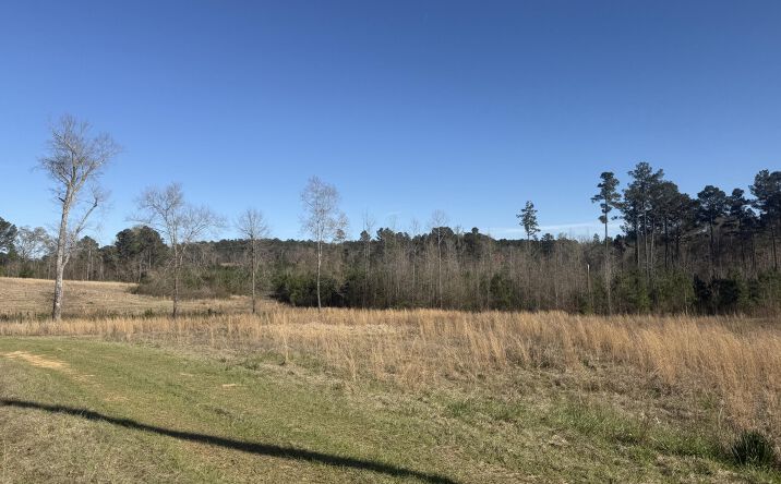 Pictures of Land property located at Highway 19 S, Union, MS 39365 for sales - image #1