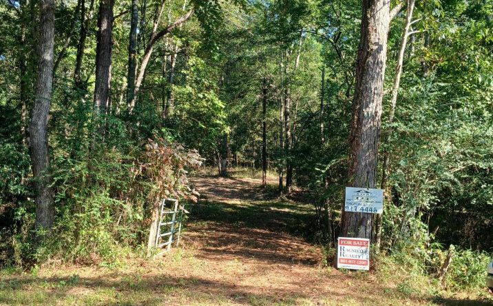 Pictures of Land property located at Mosley Crossing Rd, Collinsville, MS 39325 for sales - image #1