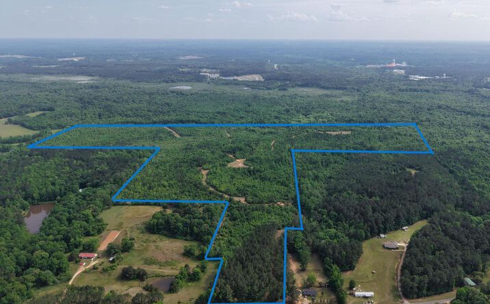 Pictures of Land property located at County Road 2608, Philadelphia, MS 39350 for sales - image #1
