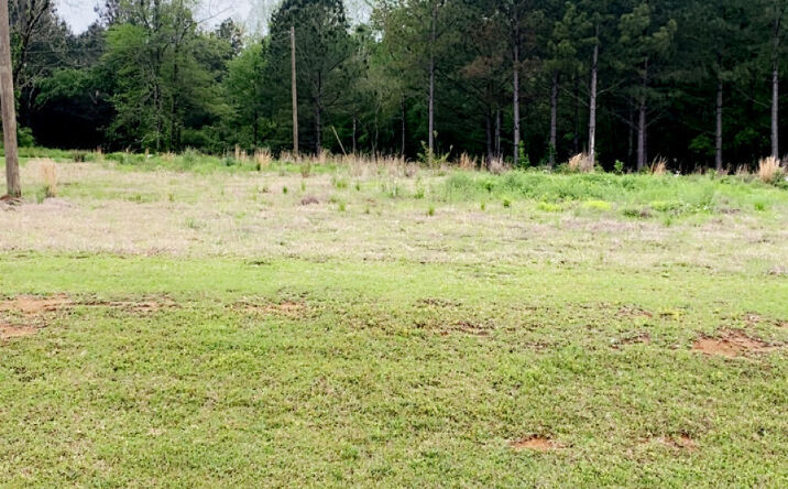 Pictures of Land property located at 8487 Mississippi 19, Collinsville, MS 39325 for sales - image #1