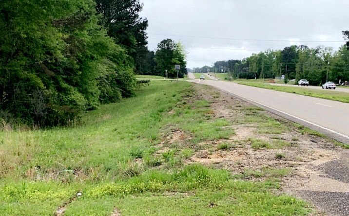 Pictures of Land property located at 8487 Mississippi 19, Collinsville, MS 39325 for sales - image #1