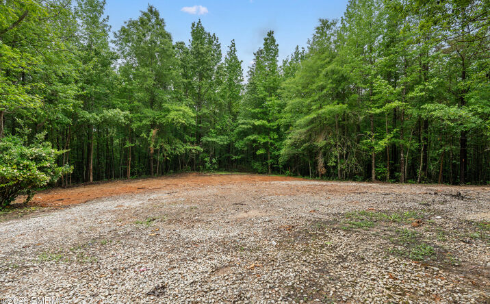 Pictures of Land property located at 11834 Nutt Road, Collinsville, MS 39325 for sales - image #1