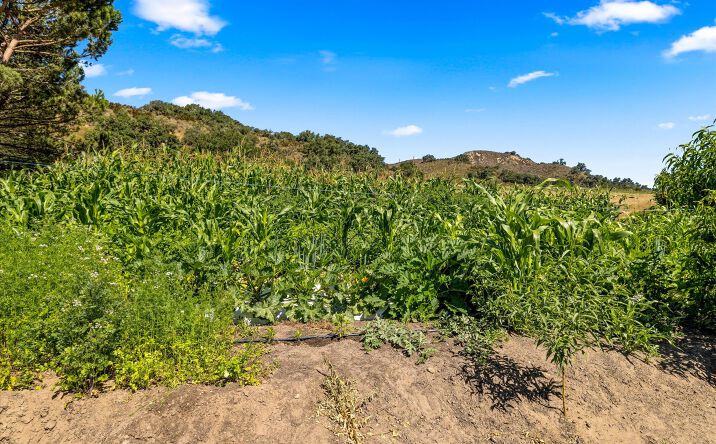 Pictures of Land property located at 2753 Gypsy Canyon Rd, Lompoc, CA 93436 for sales - image #1