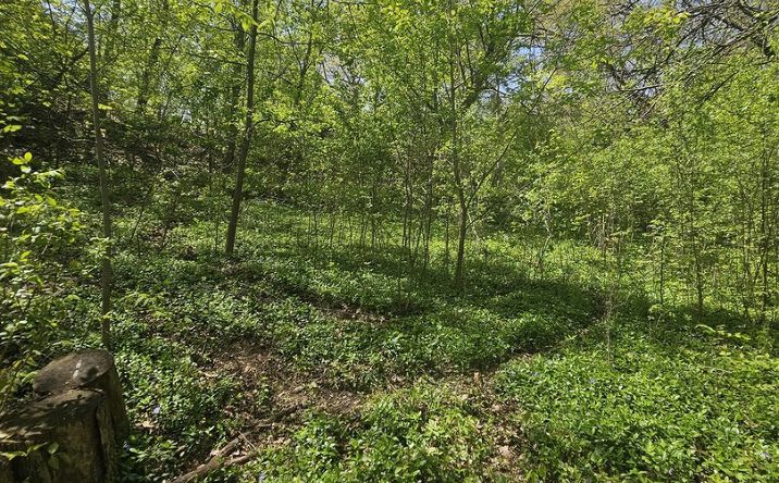 Pictures of Land, Multifamily property located at 38581 N Hillandale Drive, Spring Grove, IL 60081 for sales - image #1