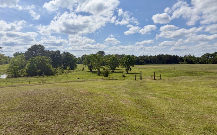 Pictures of Land property located at 10954 McKenzie Grade Road, Georgiana, AL 36033 for sales - image #1